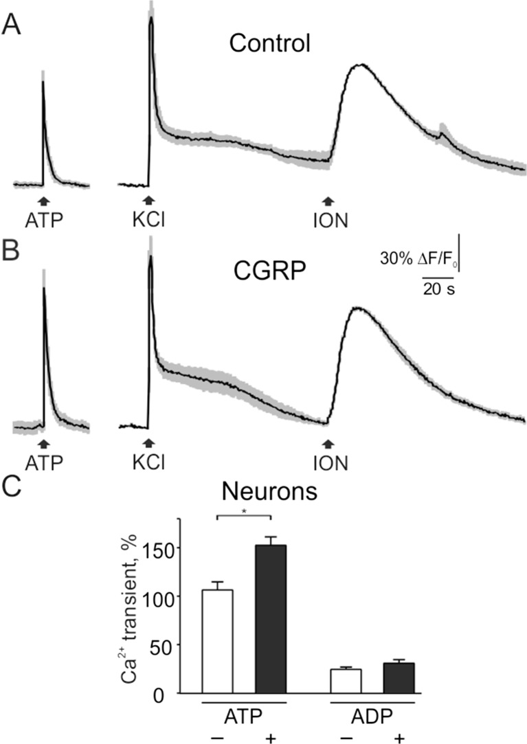 Fig. 8