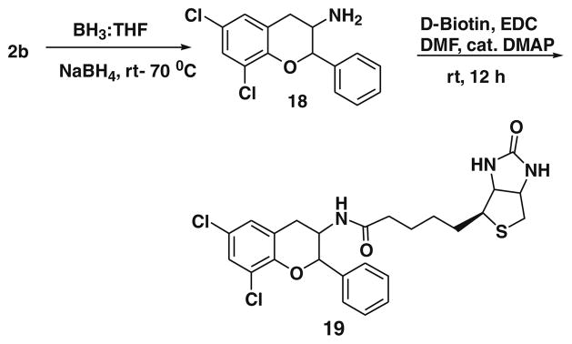 Scheme 5