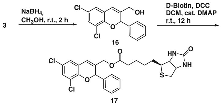 Scheme 4