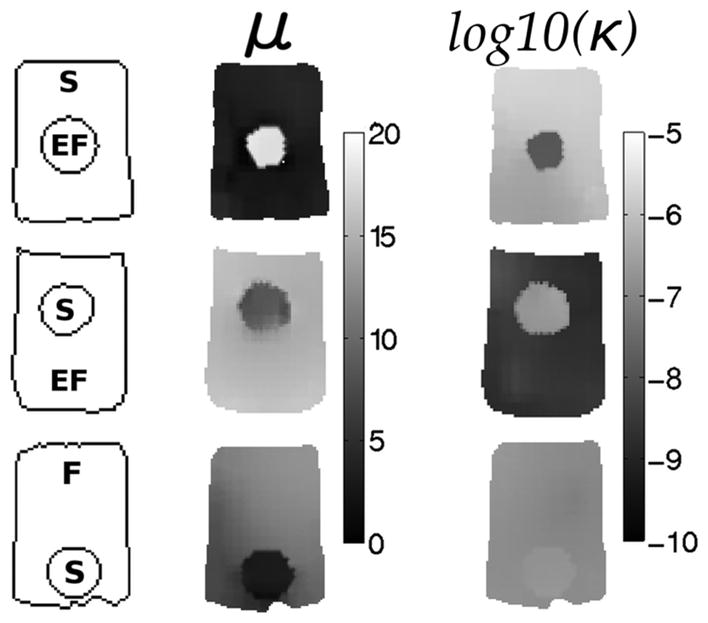 Fig. 5