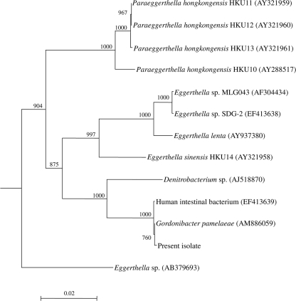 FIG. 1.