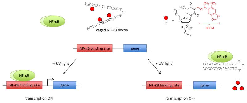 Scheme 2