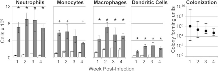 FIG 2