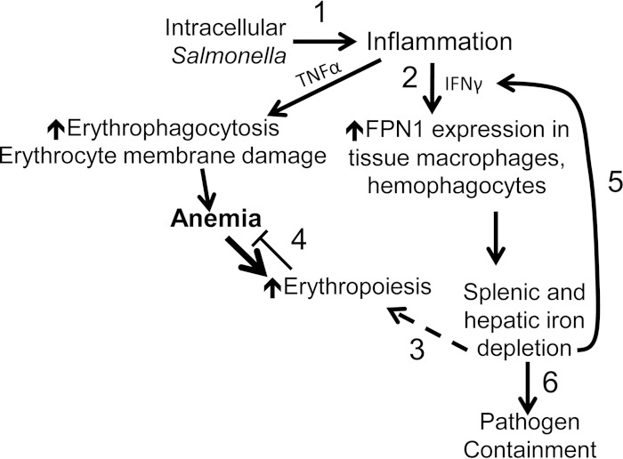 FIG 9