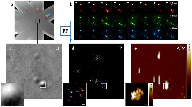 Fig. 4