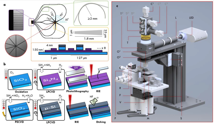 Fig. 2