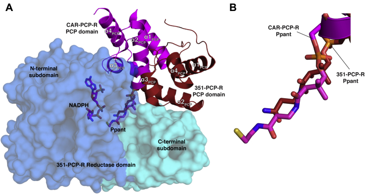 Figure 5