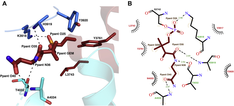 Figure 7