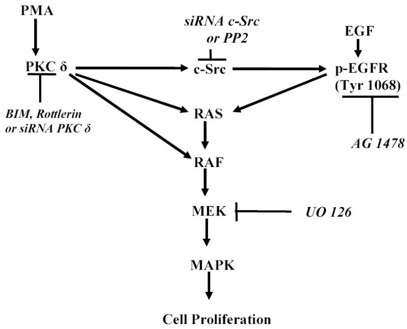 Fig. 11