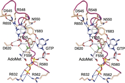 FIGURE 1.