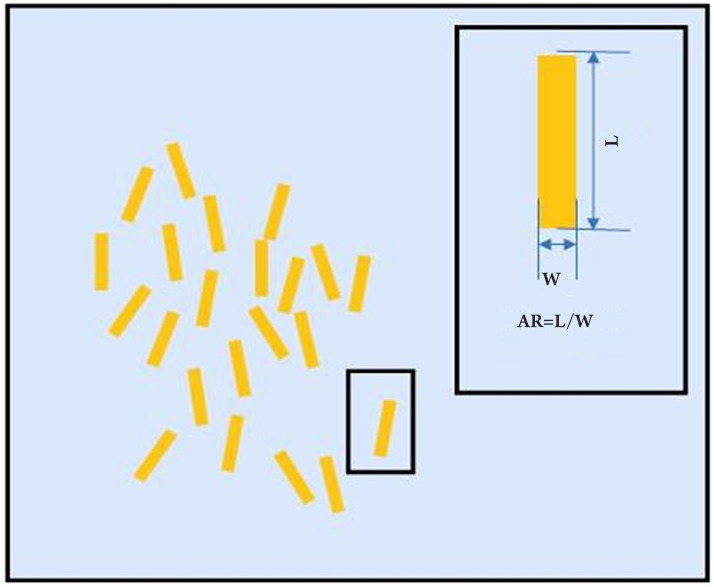 Figure 9.