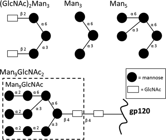 FIGURE 3.