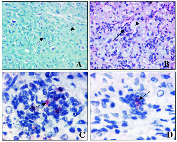 FIG. 6.