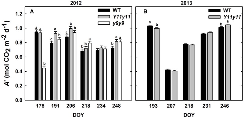 FIGURE 4