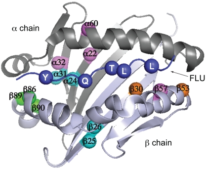 Fig. 6.