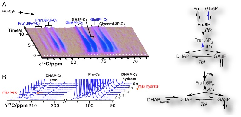 Figure 6.