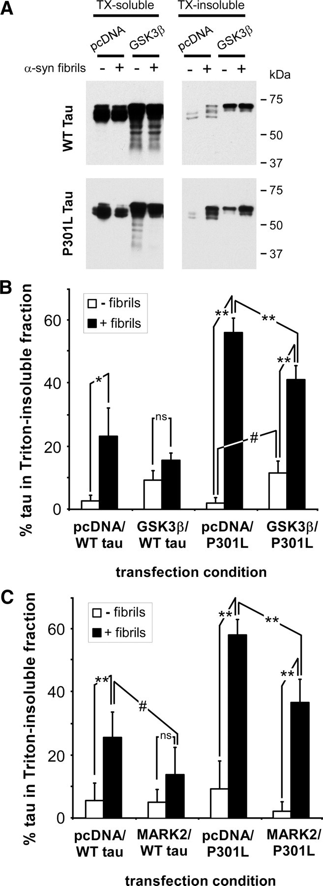 Figure 11.