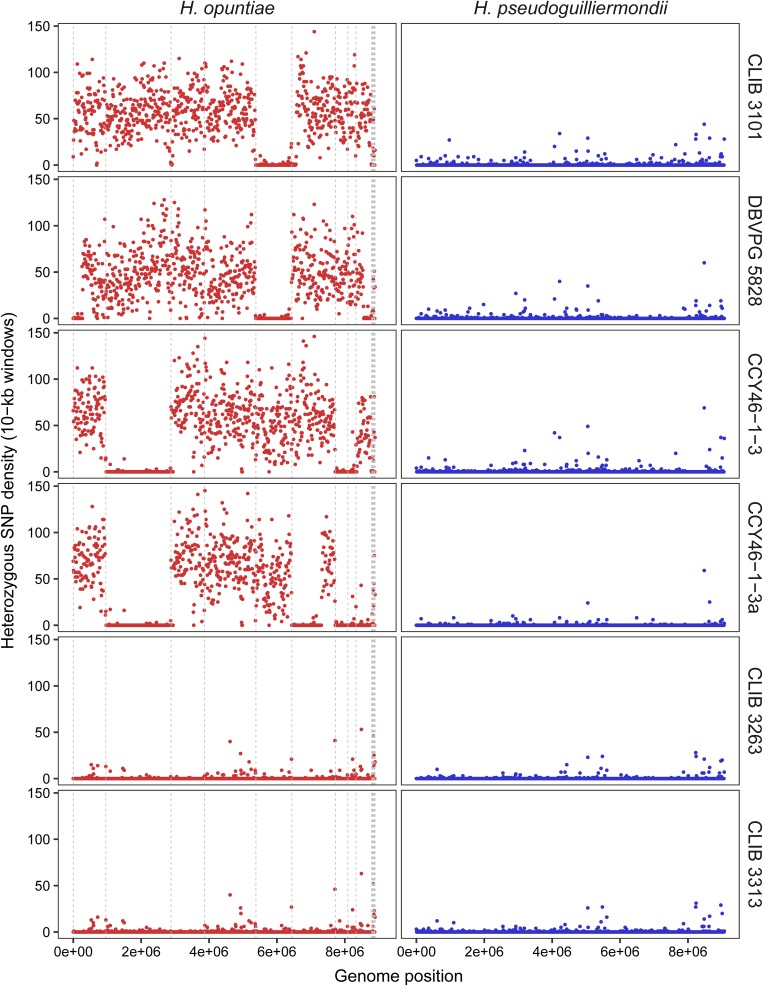 FIGURE 4