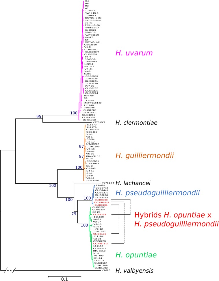 FIGURE 1