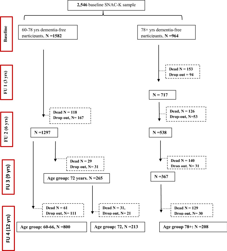 Fig. 1