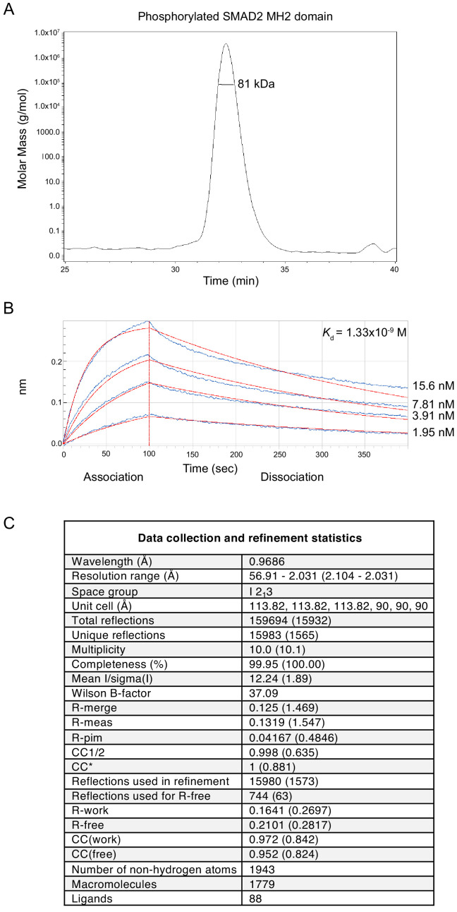 Figure 5—figure supplement 1.