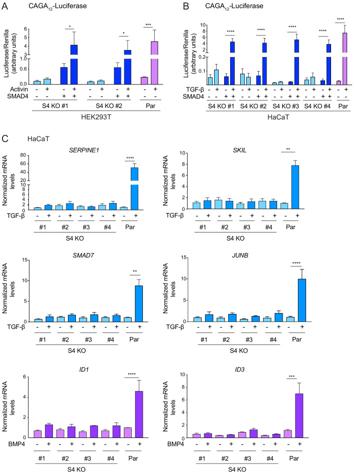 Figure 1—figure supplement 1.