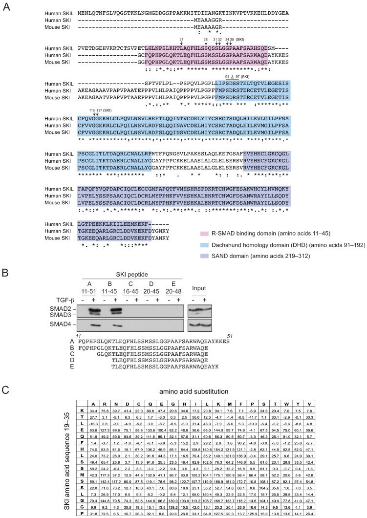 Figure 4—figure supplement 1.