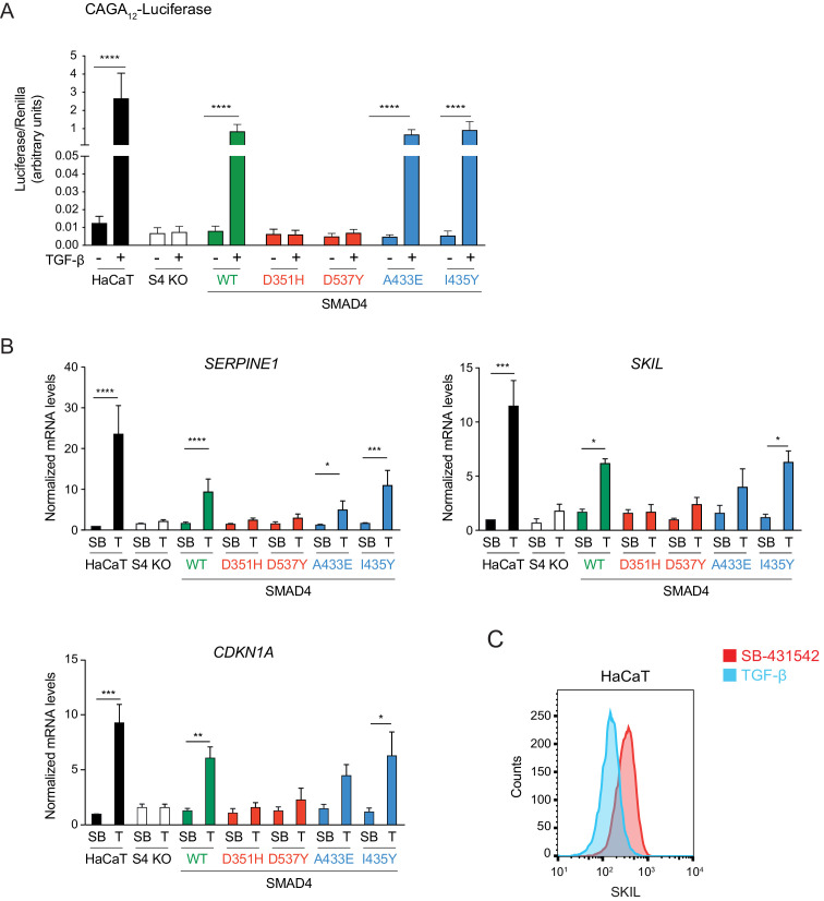 Figure 2—figure supplement 1.