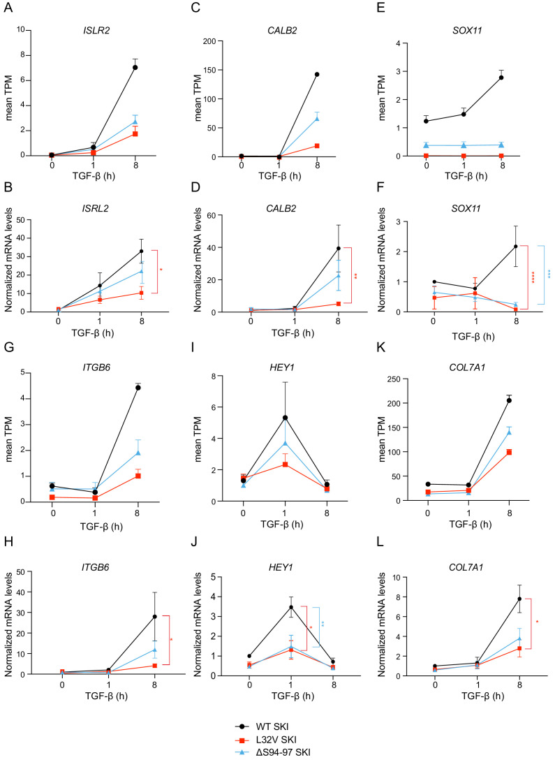 Figure 7—figure supplement 2.