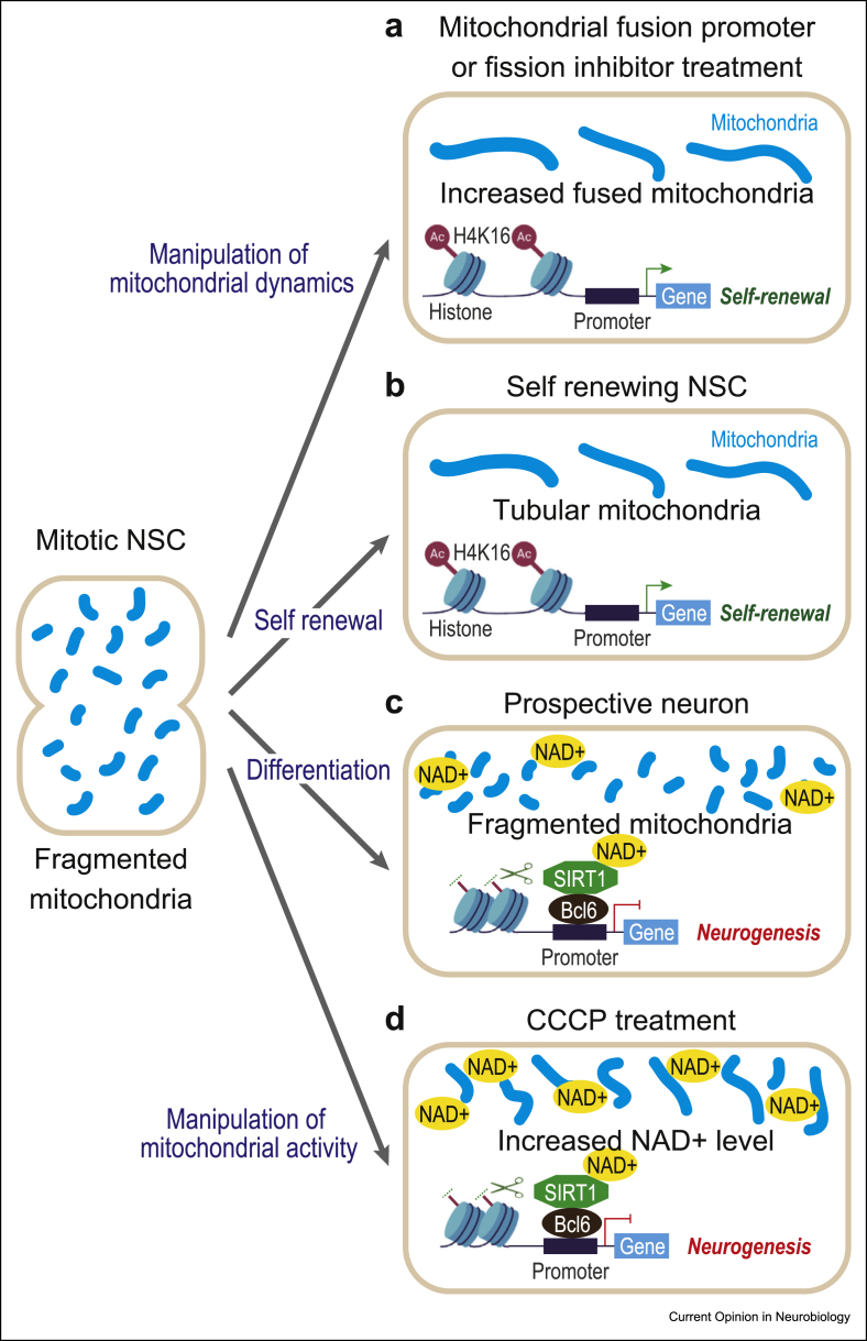 Figure 3