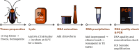 Image, graphical abstract