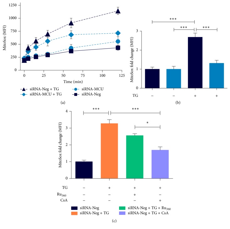 Figure 5