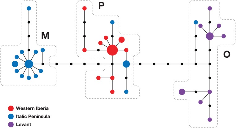 Fig 1