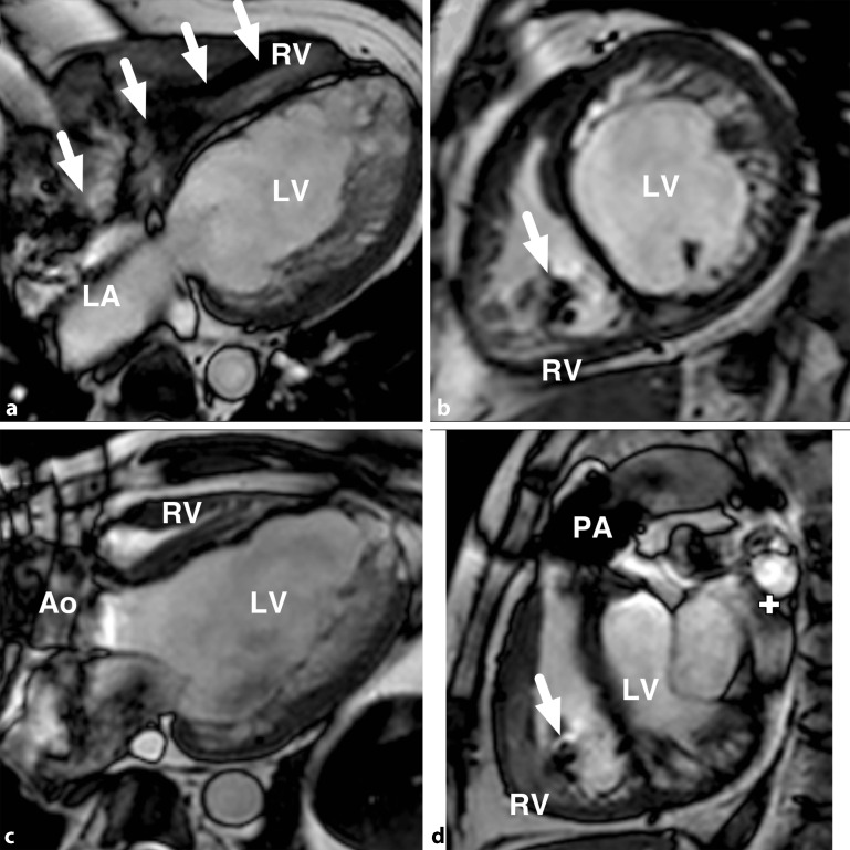 Fig. 6