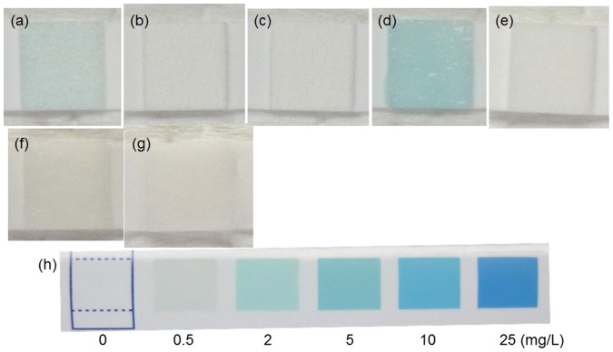 Figure 11. 