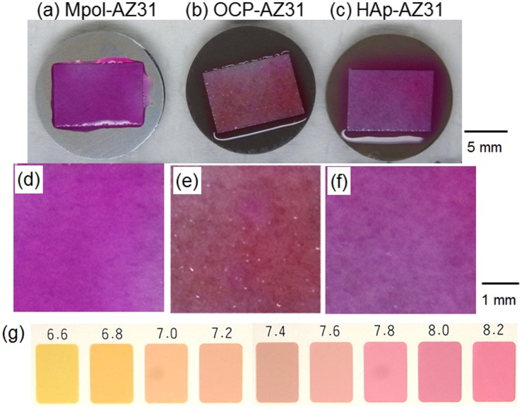 Figure 10. 