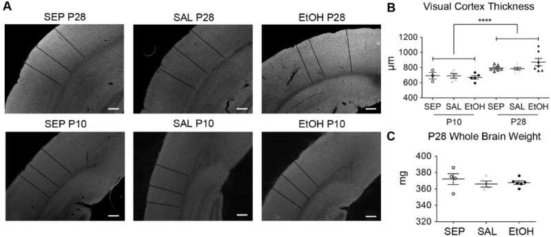 Fig 10