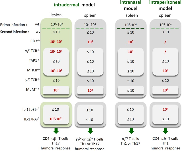 Figure 15