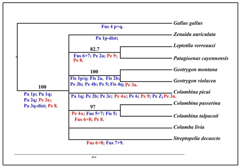 Figure 7