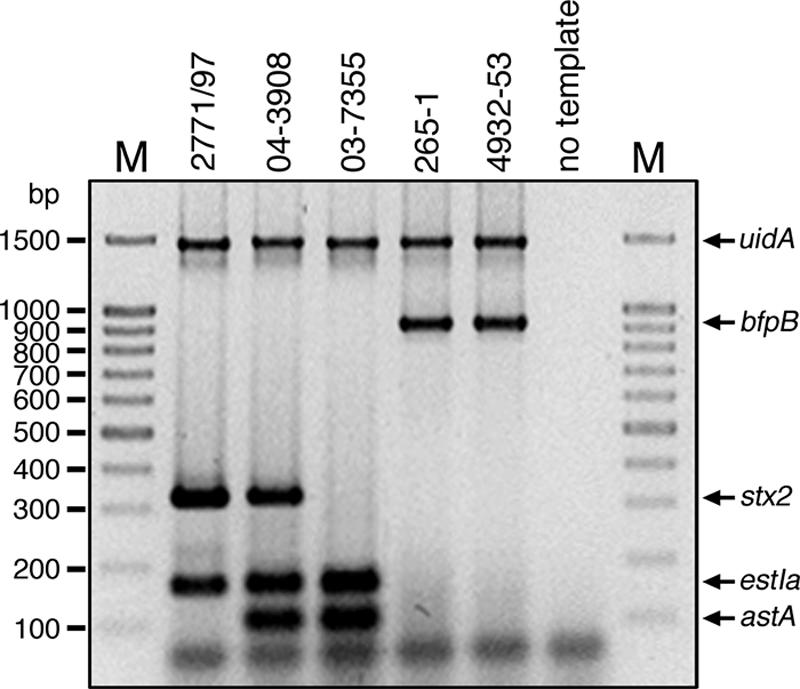 FIG. 3.