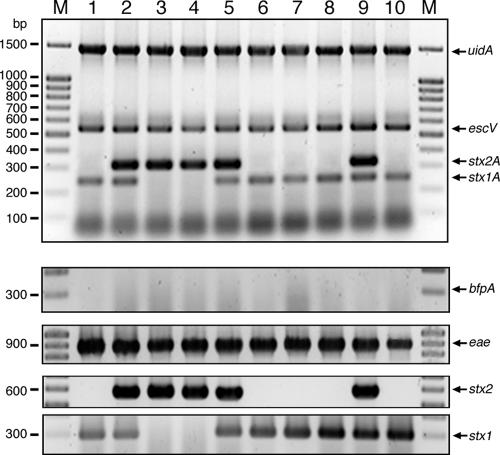 FIG. 2.