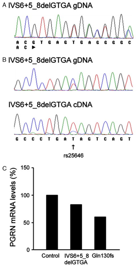 FIGURE 1