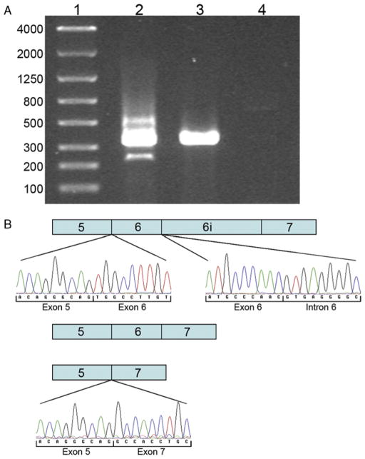 FIGURE 2