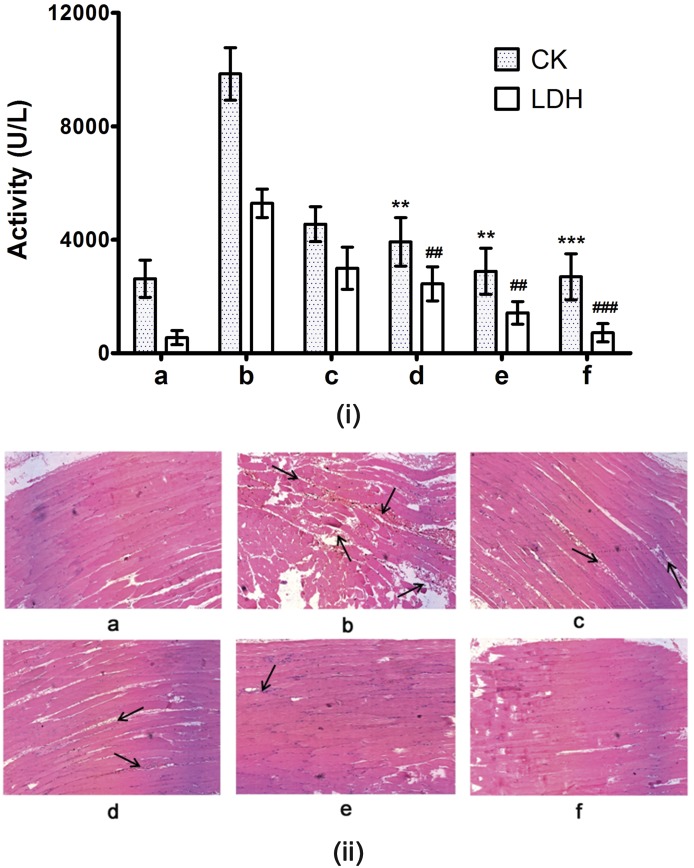 Fig 12