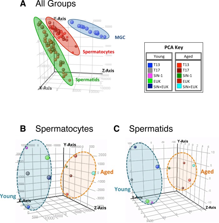 FIG. 9