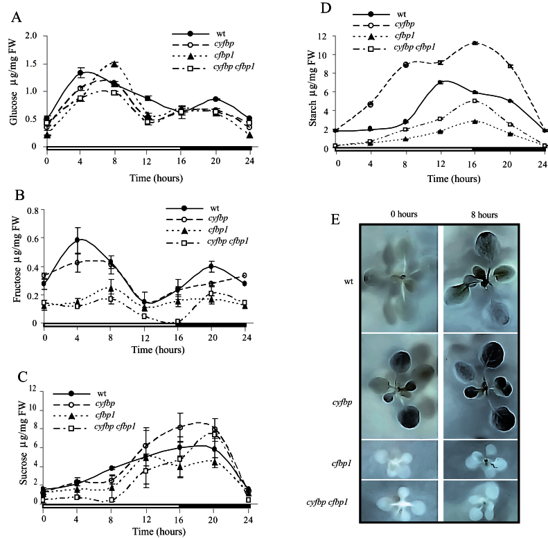 Fig. 9.