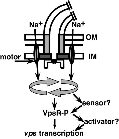 FIG. 7.