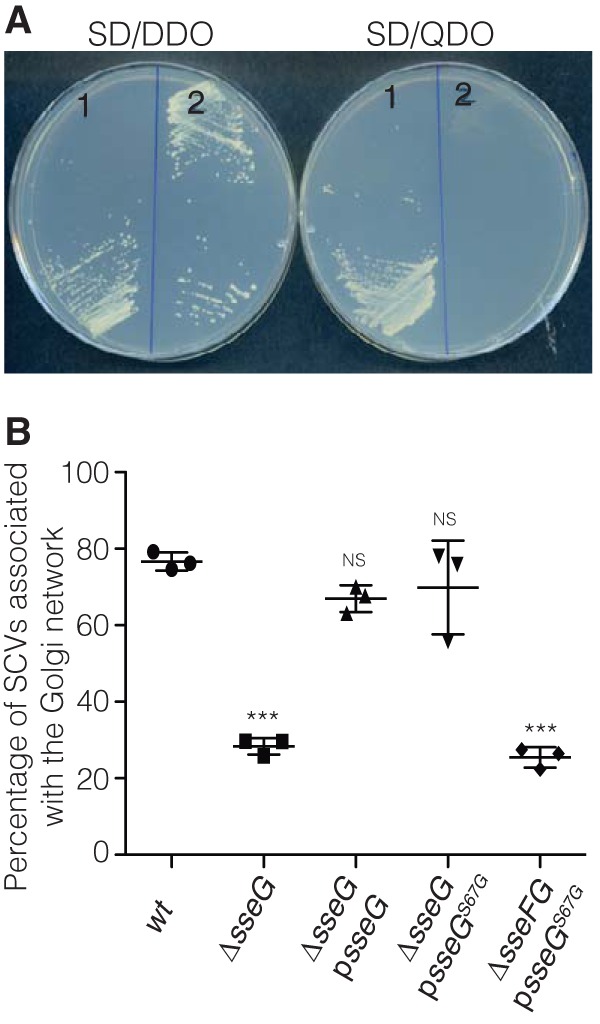 FIG 2 