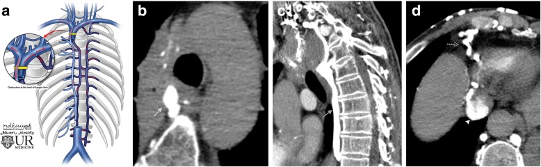 Fig. 10