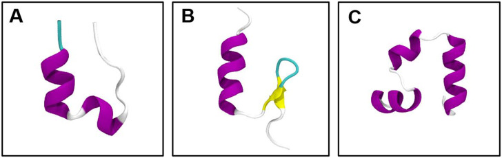 FIG. 2.